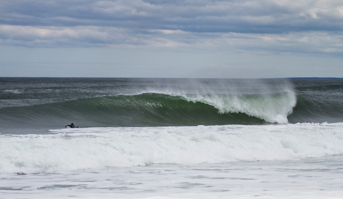 All to himself, but doubtful he was complaining. Photo: <a href=\"https://www.bryannicholson.com/\">Bryan Nicholson</a>