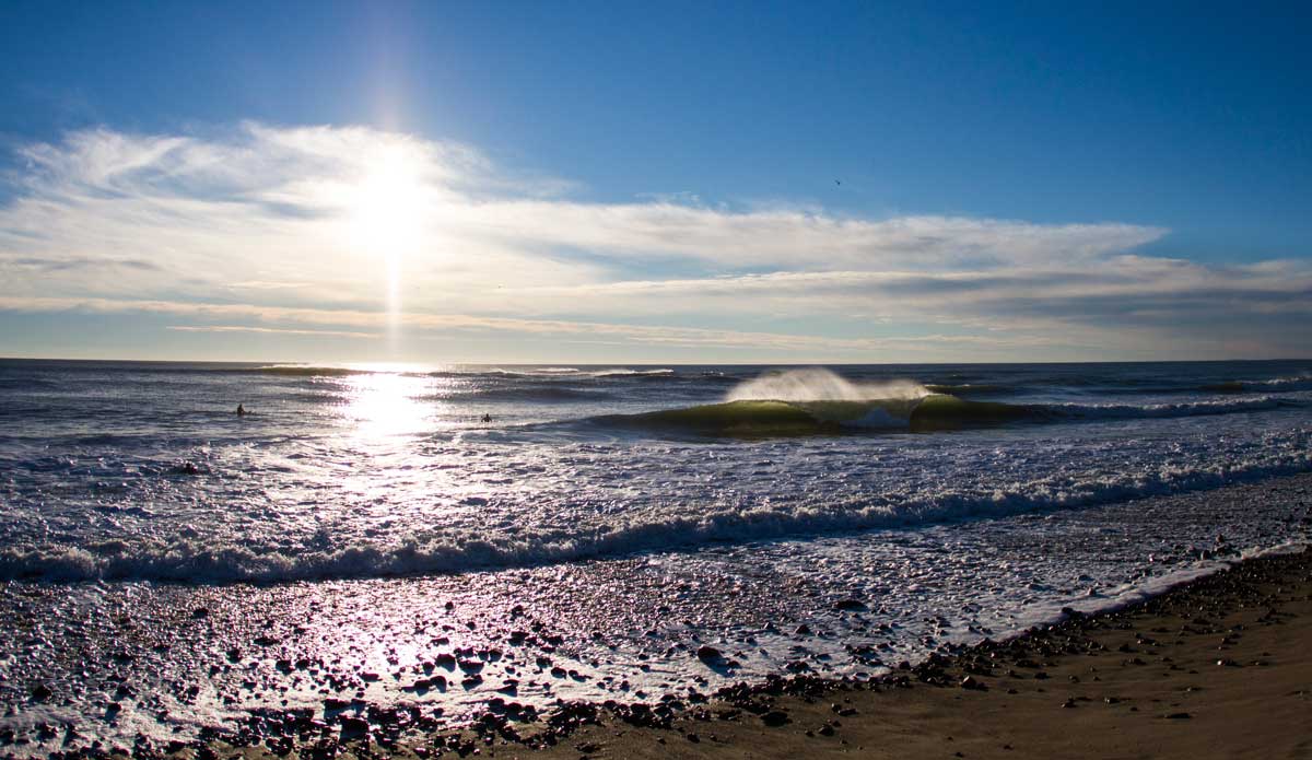 The clean, green one that got away. Photo: <a href=\"https://www.bryannicholson.com/\">Bryan Nicholson</a>