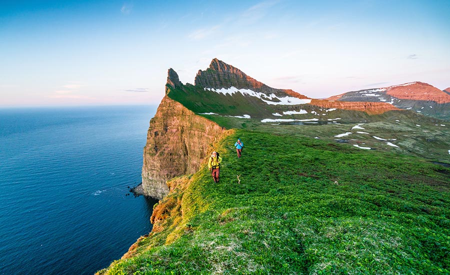 Dude, gets around. The Hornstrandir sea cliffs, Iceland.