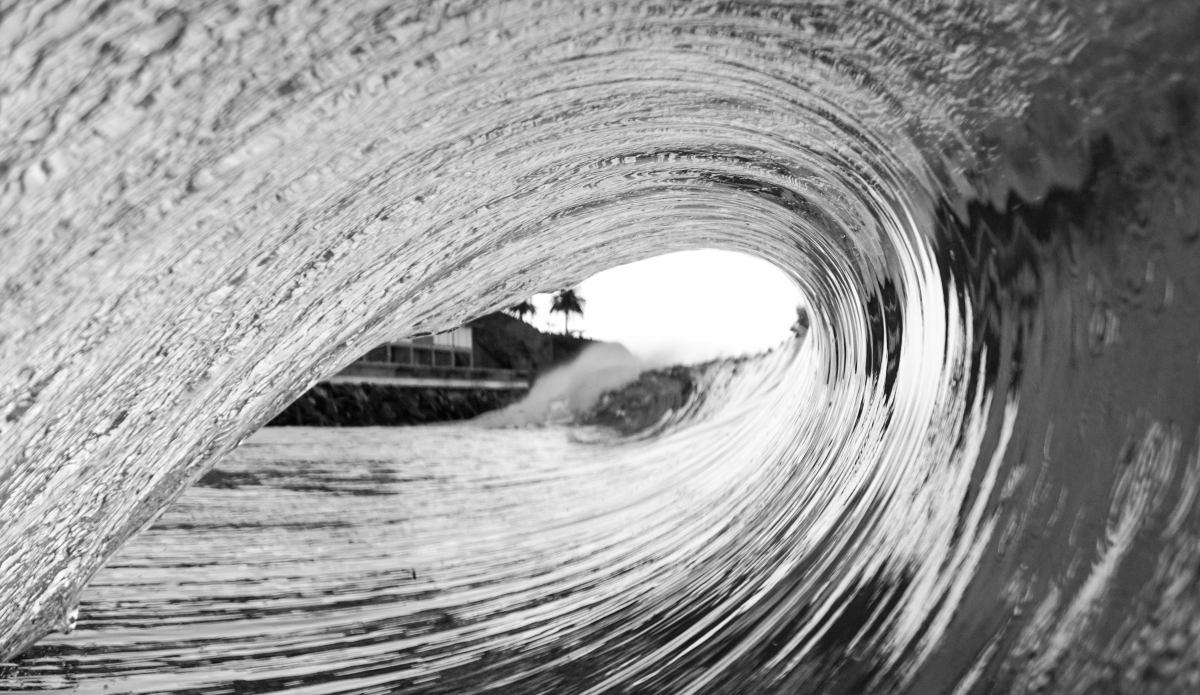 Photo: @delanzophoto