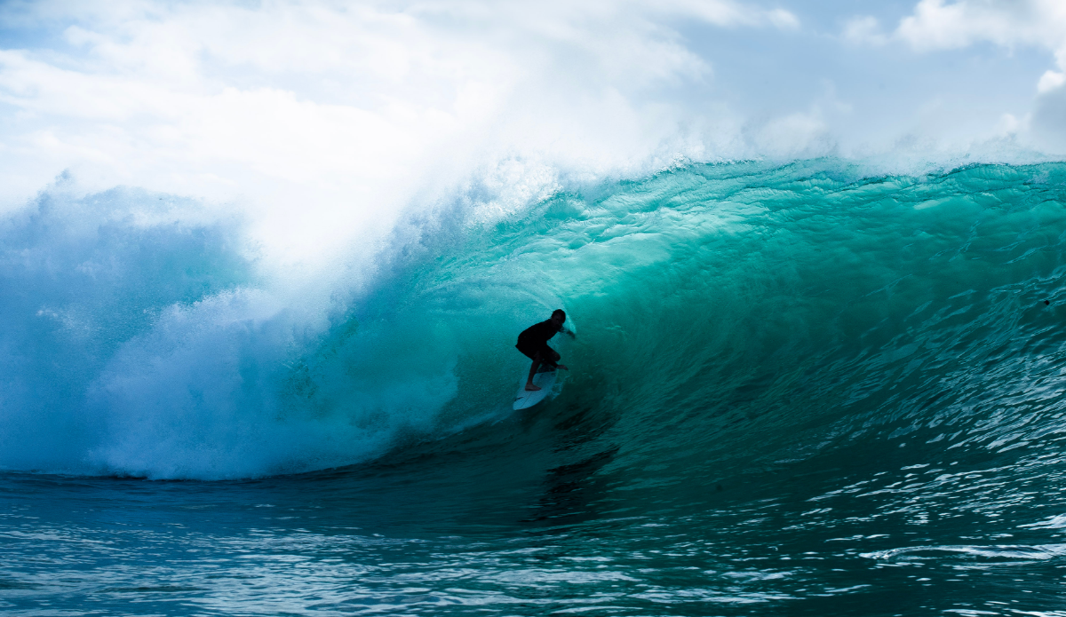 Photo: Byron McLoughlin 