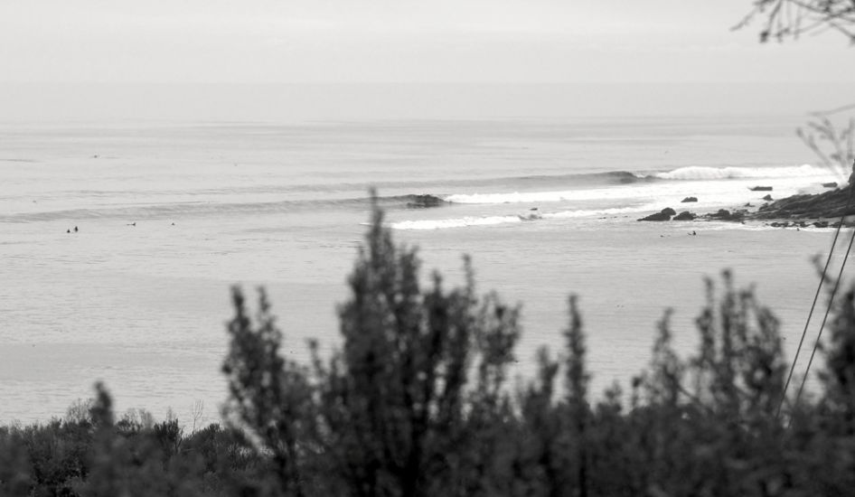 dsc02833bw
