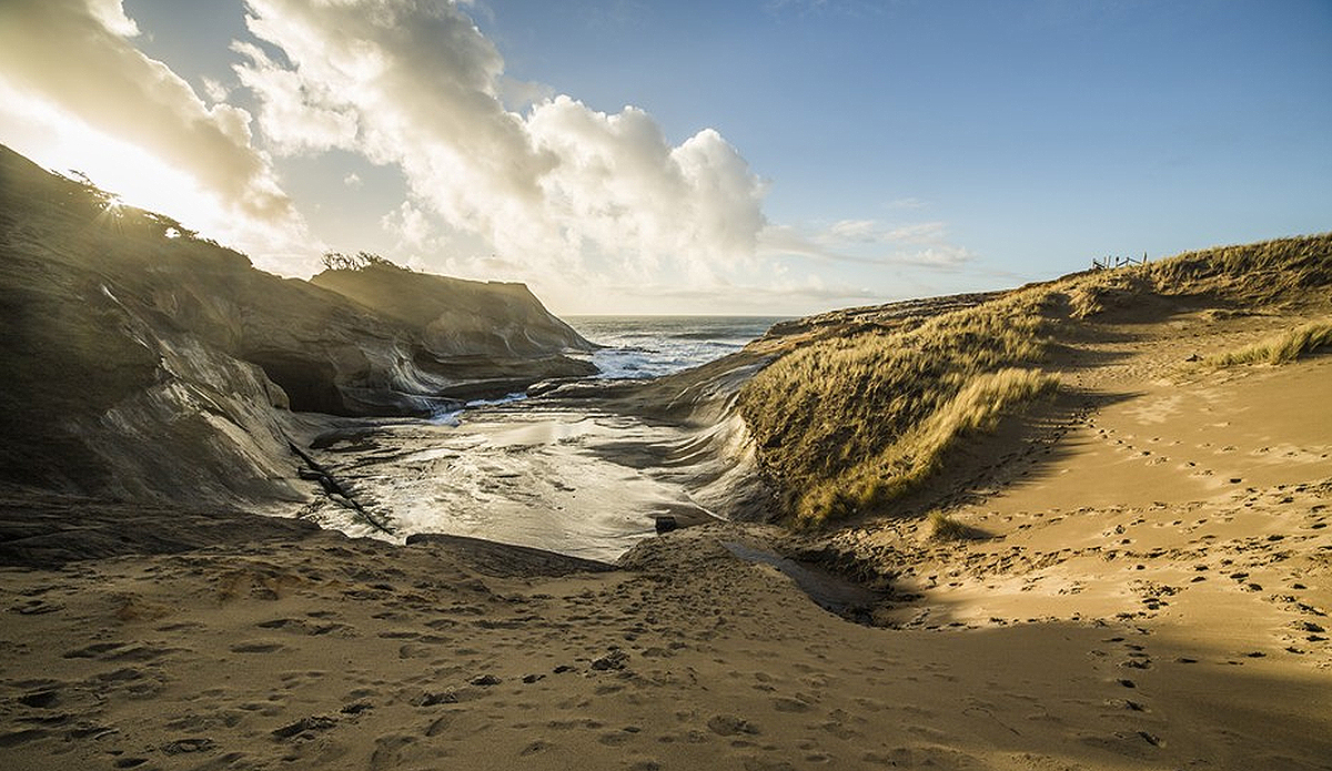 Photo: Greg Mares/Wonders