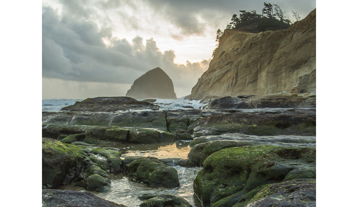 Photo: Greg Mares/Wonders