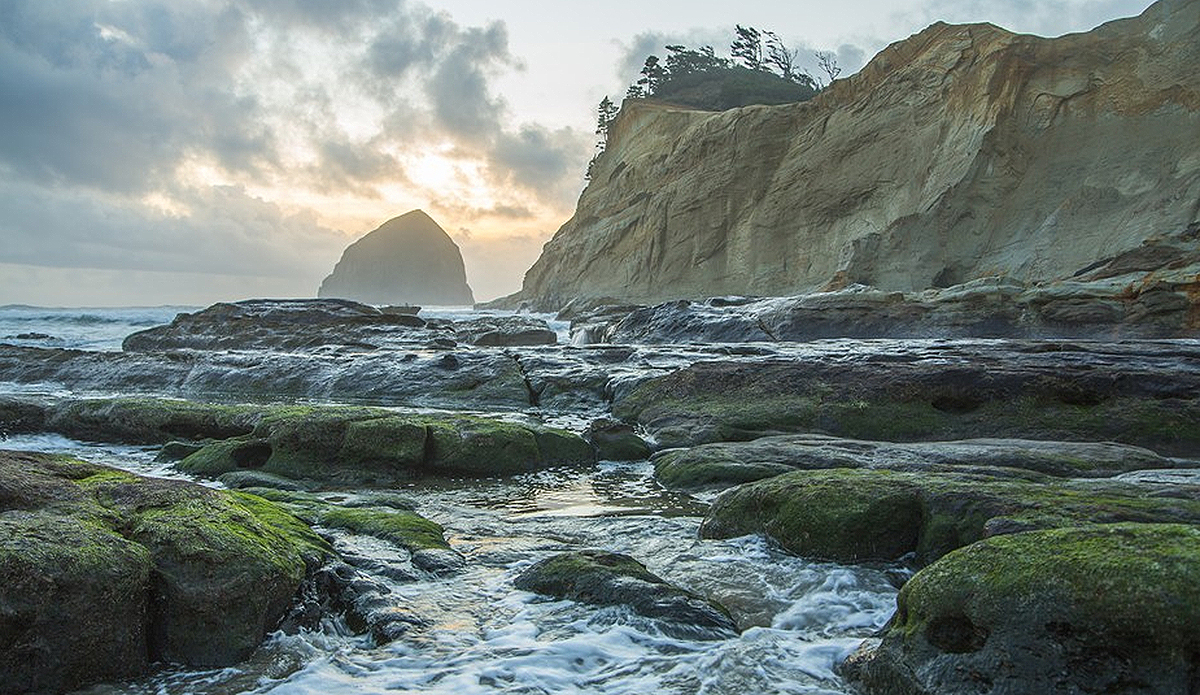 Photo: Greg Mares/Wonders