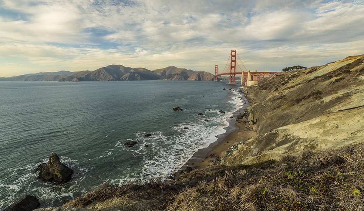 Photo: Greg Mares/Wonders