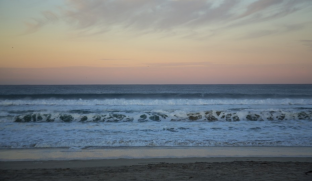 Photo: Greg Mares/Wonders