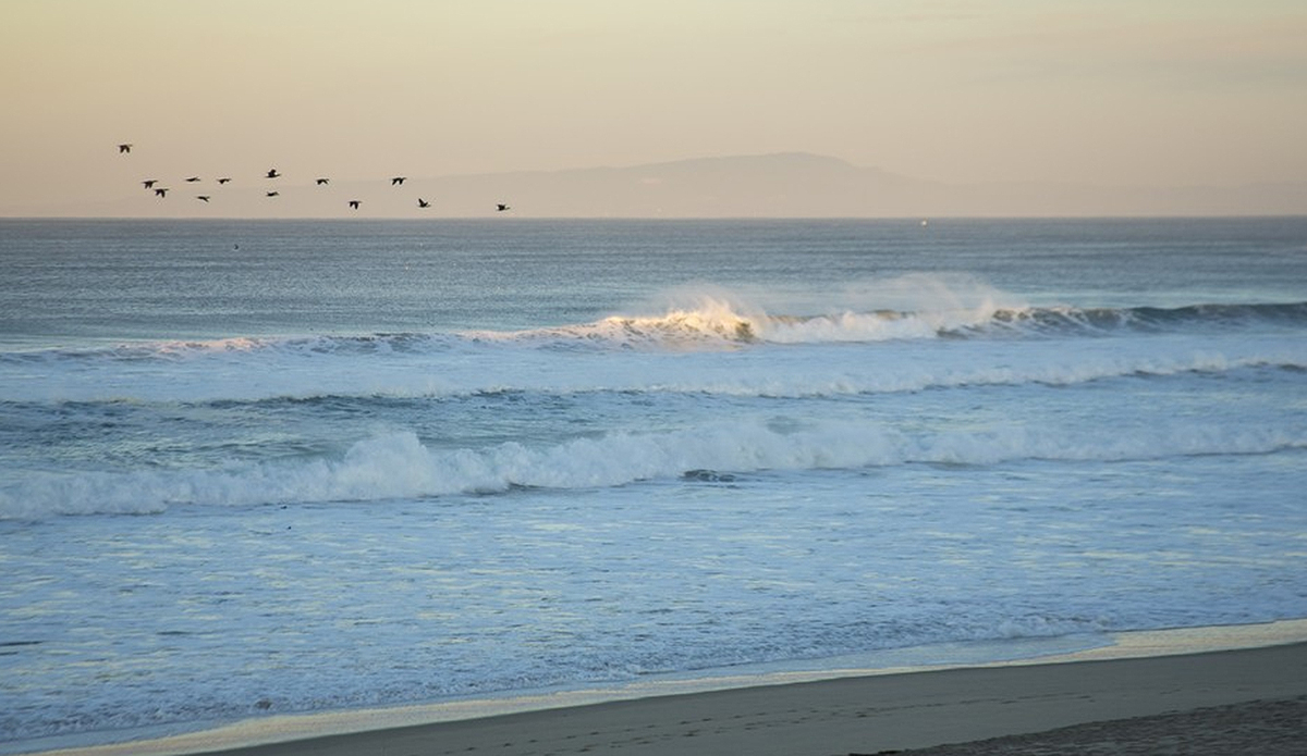 Photo: Greg Mares/Wonders