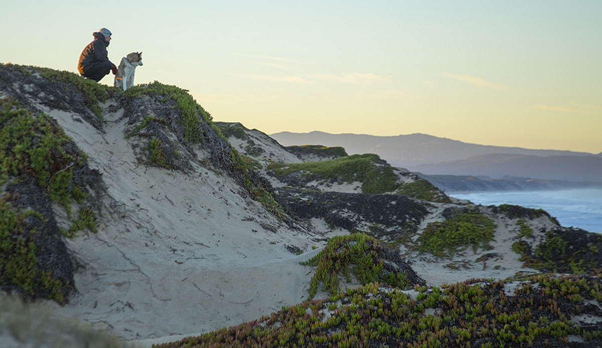 Photo: Greg Mares/Wonders