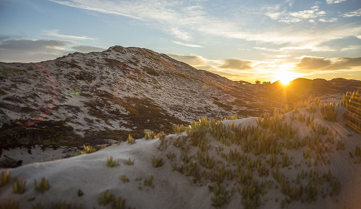 Photo: Greg Mares/Wonders