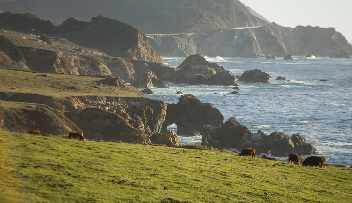 Photo: Greg Mares/Wonders