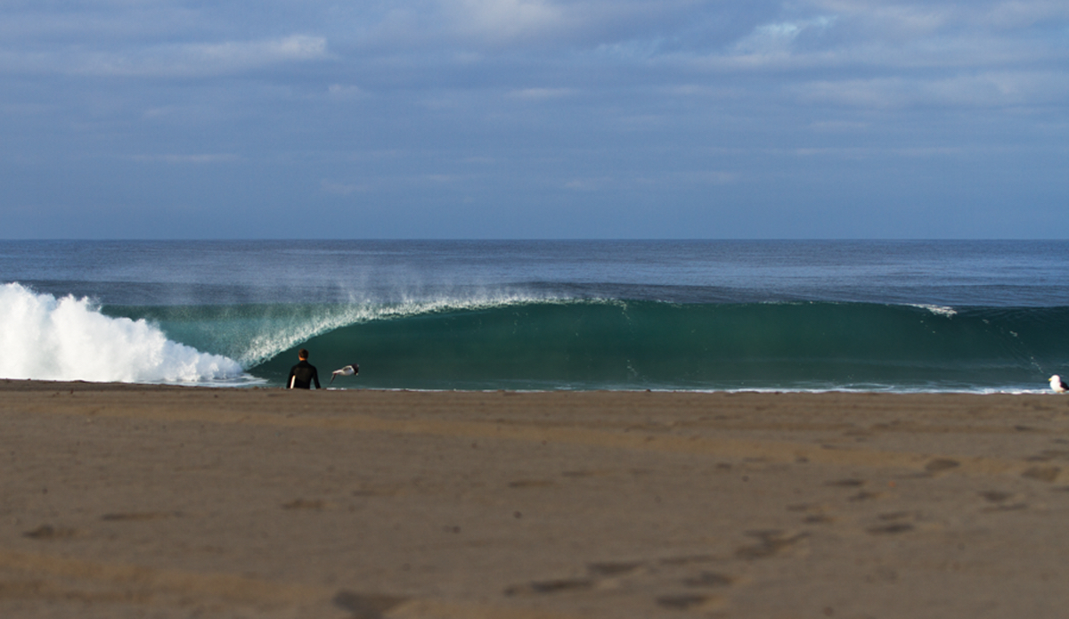 An unkown surfer heading out to a perfect Los Angeles morning. Photo: <a href=\"https://www.kincaidcliffordphotography.com/\"> Brian Clifford</a>