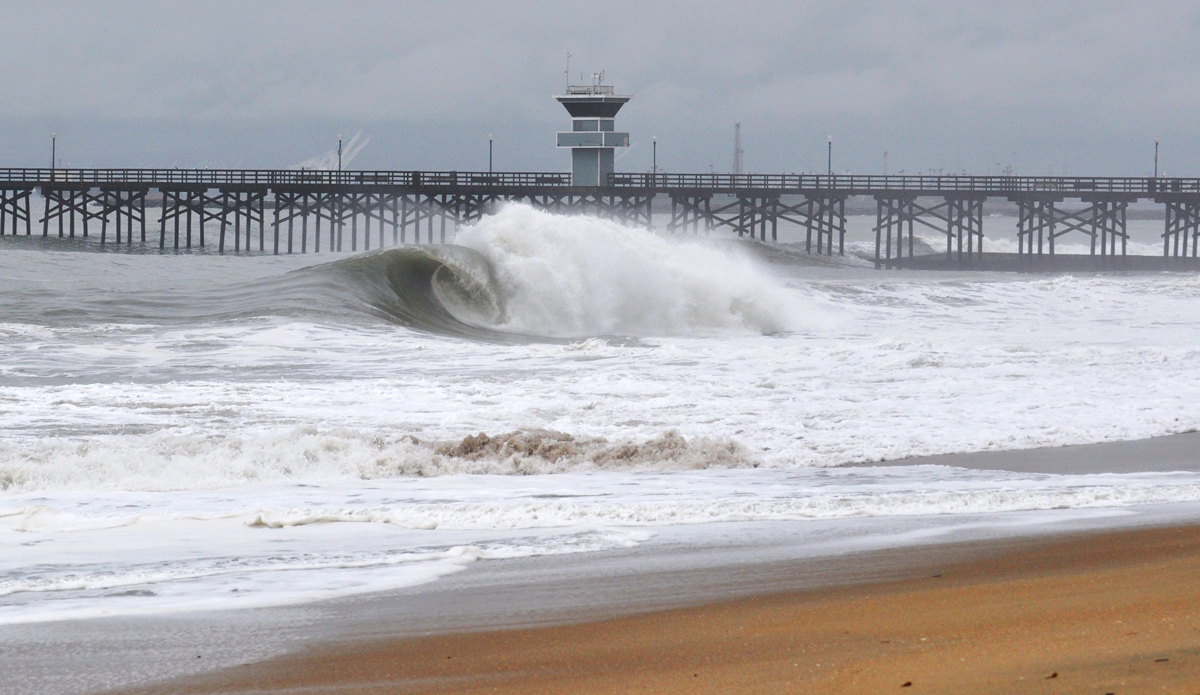 Rare gray gem in North OC. Photo: Wes Harding