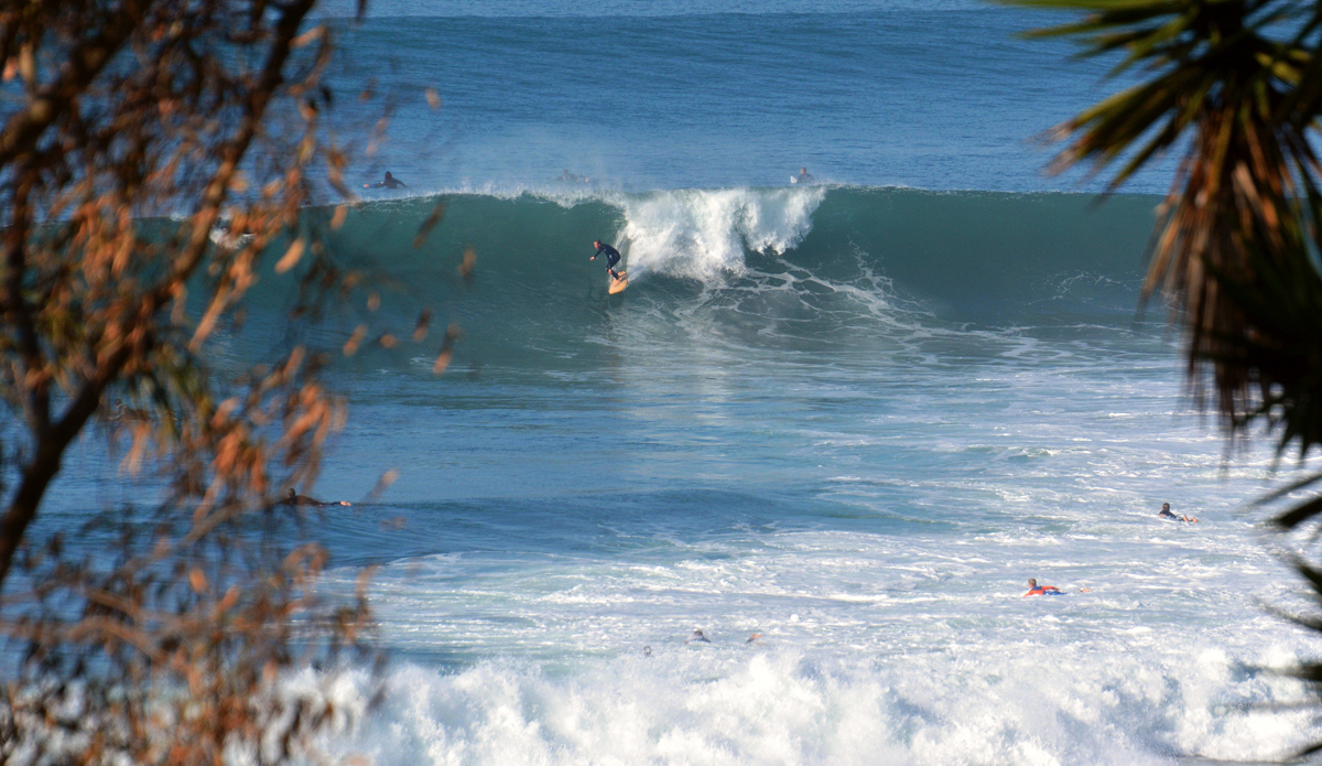 Between the trees at this point break in North San Diego County. Photo: Wes Harding