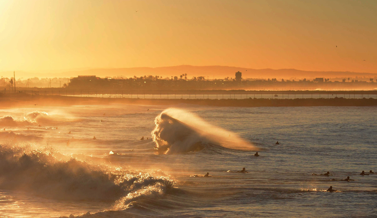 Morning gold. Photo: Wes Harding