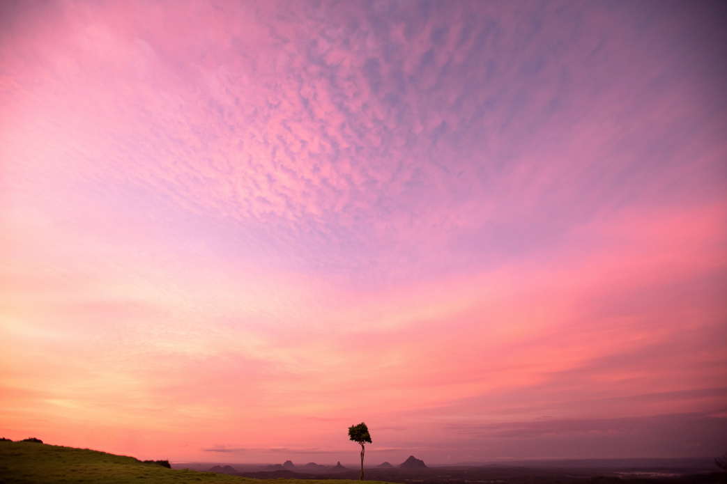 Photo: Cameron Watts