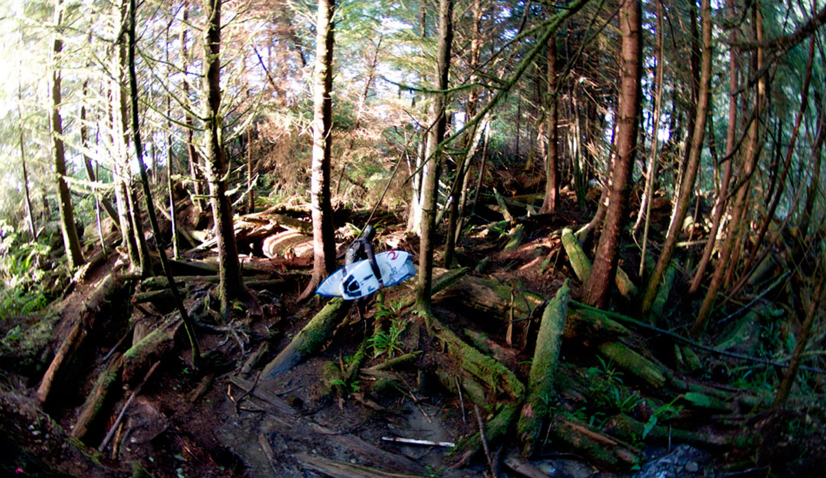 We are lucky in Canada to have a deep connection with nature. Every time we walk to the beach were surrounded by it. Photo: <a href=\"https://www.adamdewolfe.com/Intro.html\" target=_blank>Adam Dewolfe.</a>