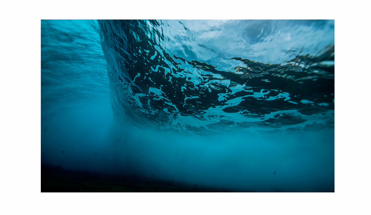 Underwater vision at El Confital. Photo:<a href=\"https://www.xn--jorgeibez-61a0p.com/\">Jorge Ibáñez</a>