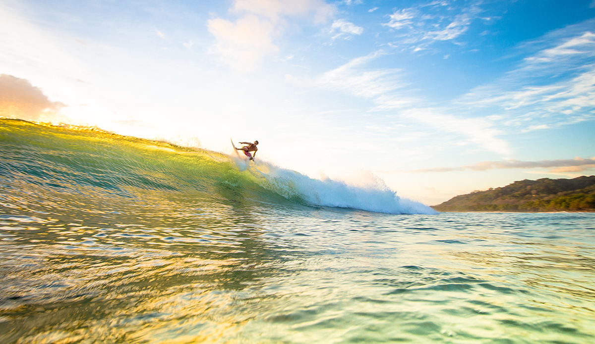 Photo: <a href=\"https://insectoart.com/\"> Carlos Palacios</a>