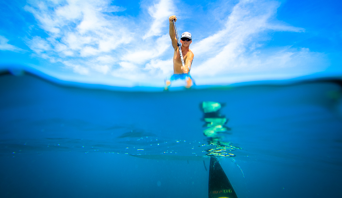 Photo: <a href=\"https://insectoart.com/\"> Carlos Palacios</a>