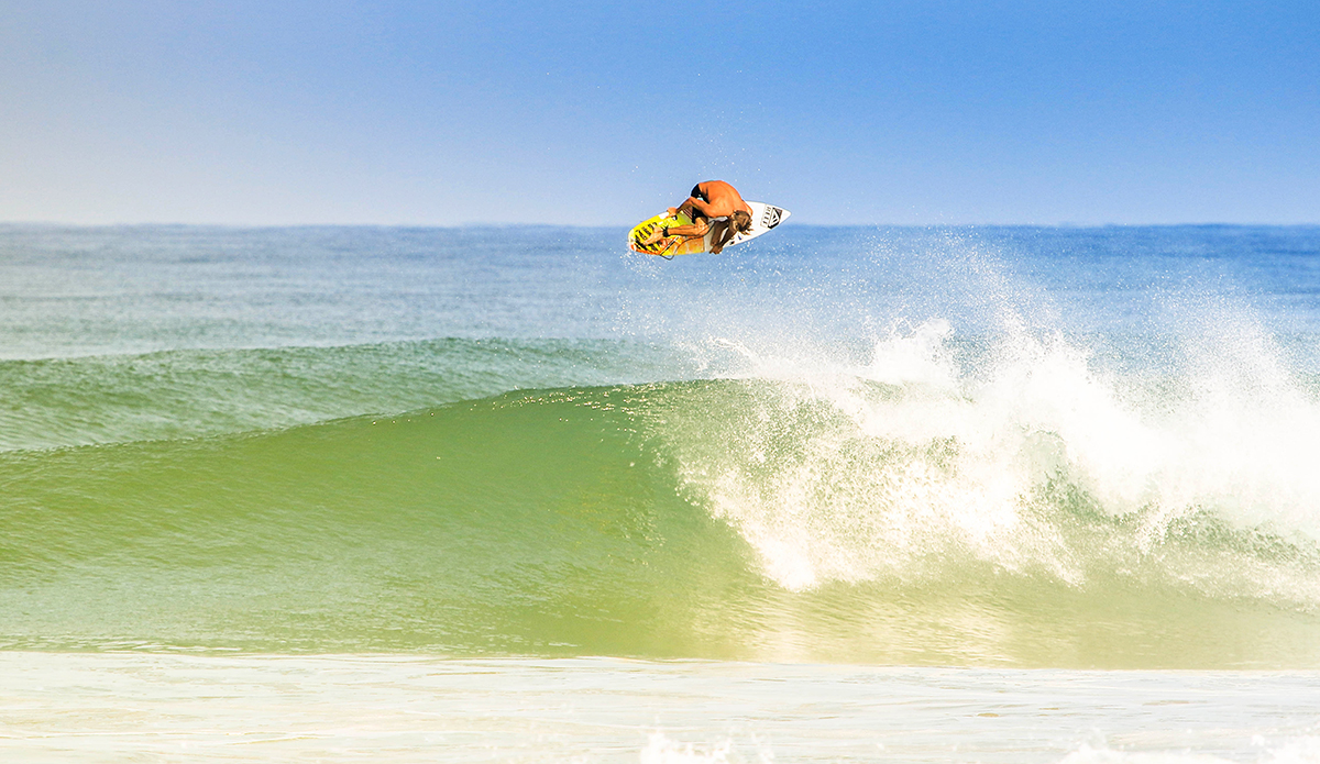 Photo: <a href=\"https://insectoart.com/\"> Carlos Palacios</a>