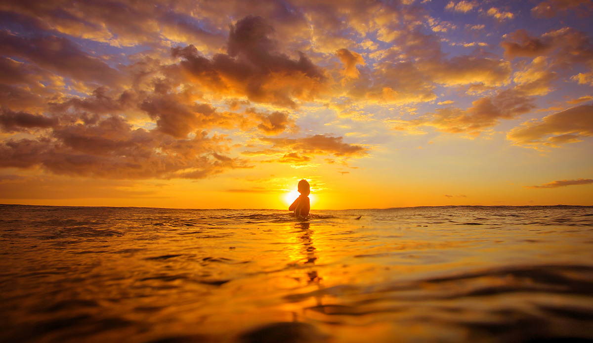 Photo: <a href=\"https://insectoart.com/\"> Carlos Palacios</a>