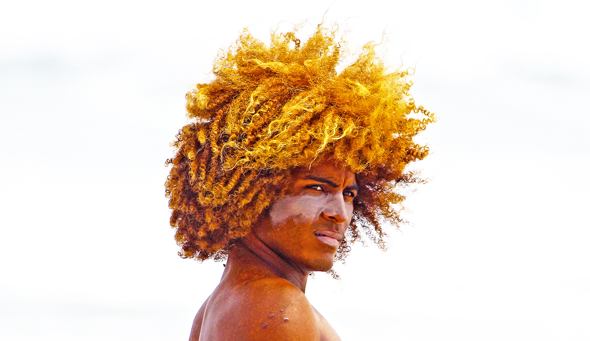 Photo: <a href=\"https://insectoart.com/\"> Carlos Palacios</a>