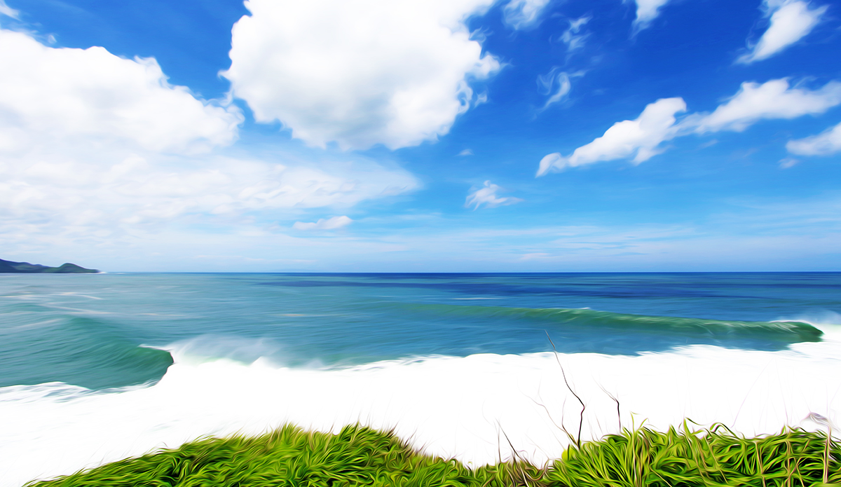 Photo: <a href=\"https://insectoart.com/\"> Carlos Palacios</a>