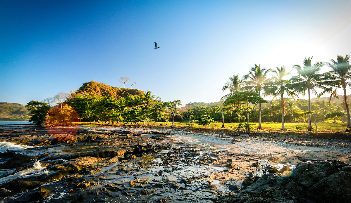 Photo: <a href=\"https://insectoart.com/\"> Carlos Palacios</a>