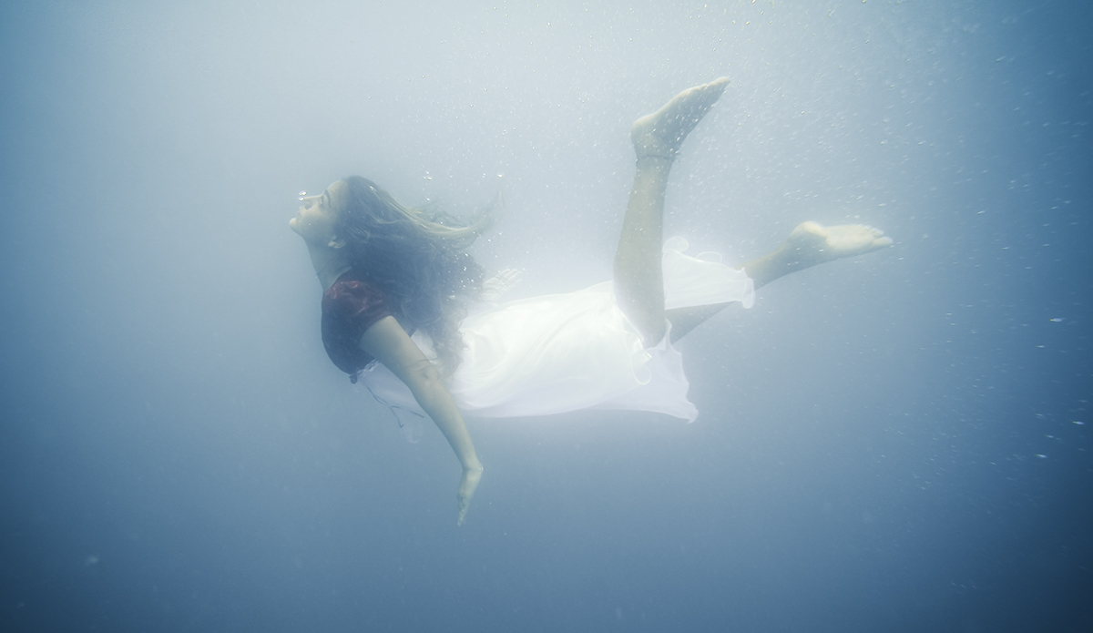 Photo: <a href=\"https://insectoart.com/\"> Carlos Palacios</a>