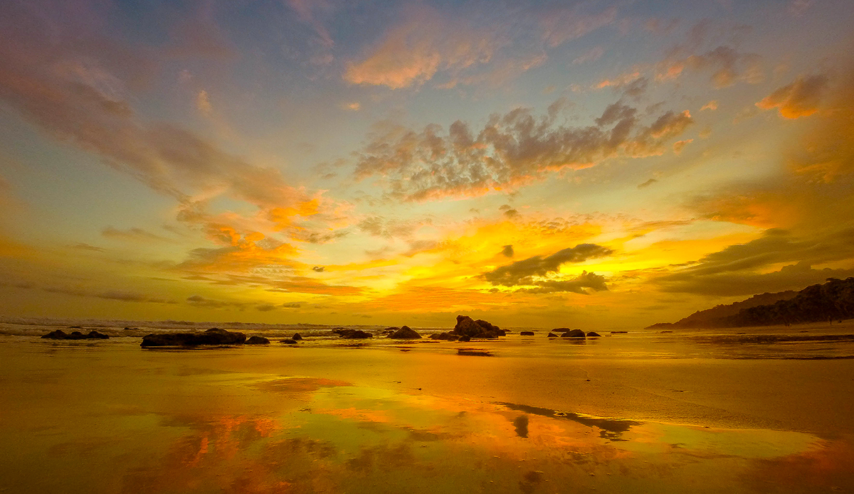 Photo: <a href=\"https://insectoart.com/\"> Carlos Palacios</a>