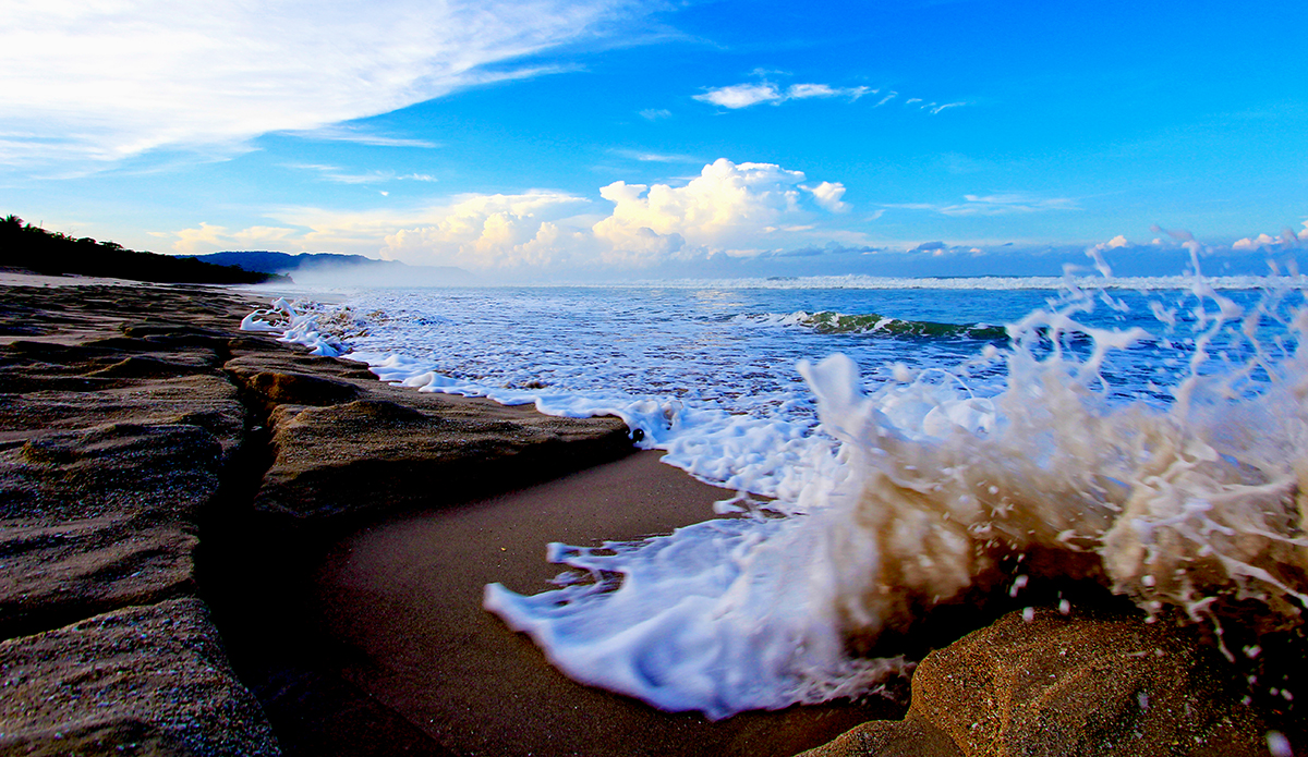 Photo: <a href=\"https://insectoart.com/\"> Carlos Palacios</a>