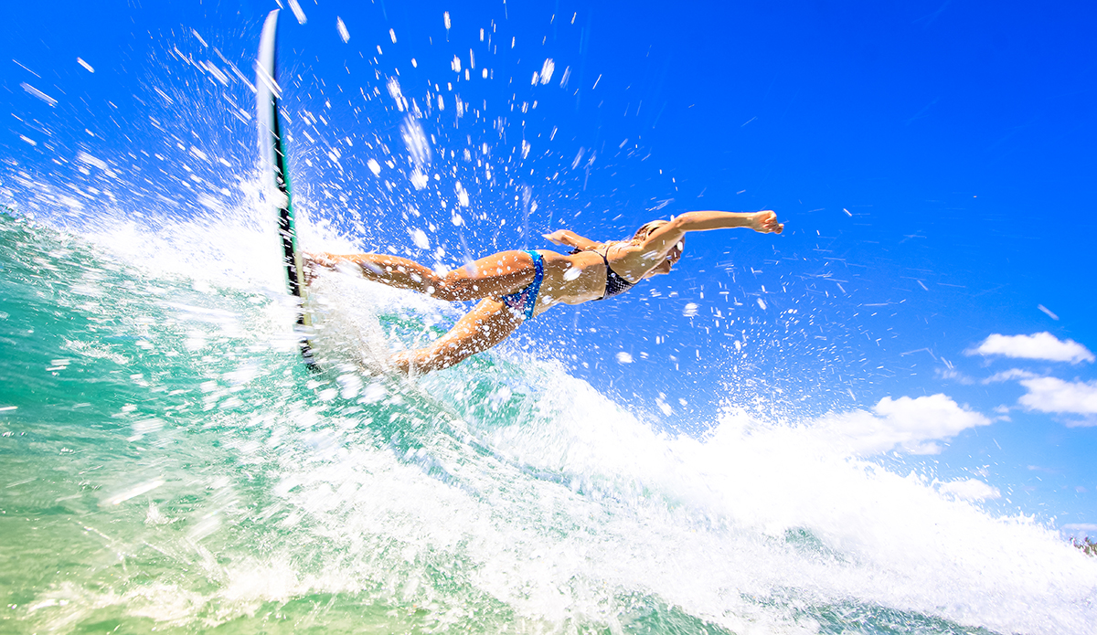 Photo: <a href=\"https://insectoart.com/\"> Carlos Palacios</a>