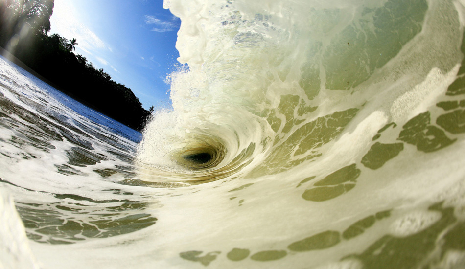 Caribbean Froth. Image: Rossi