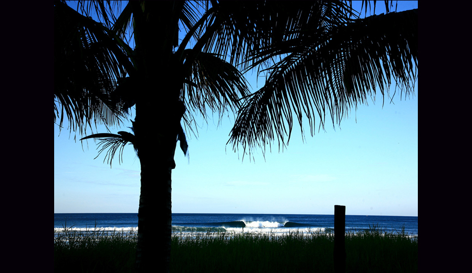Central American Beachy. Image: Rossi