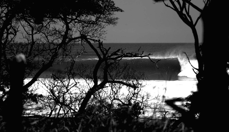 Costa Rican hid-n-seek. Image: Rossi