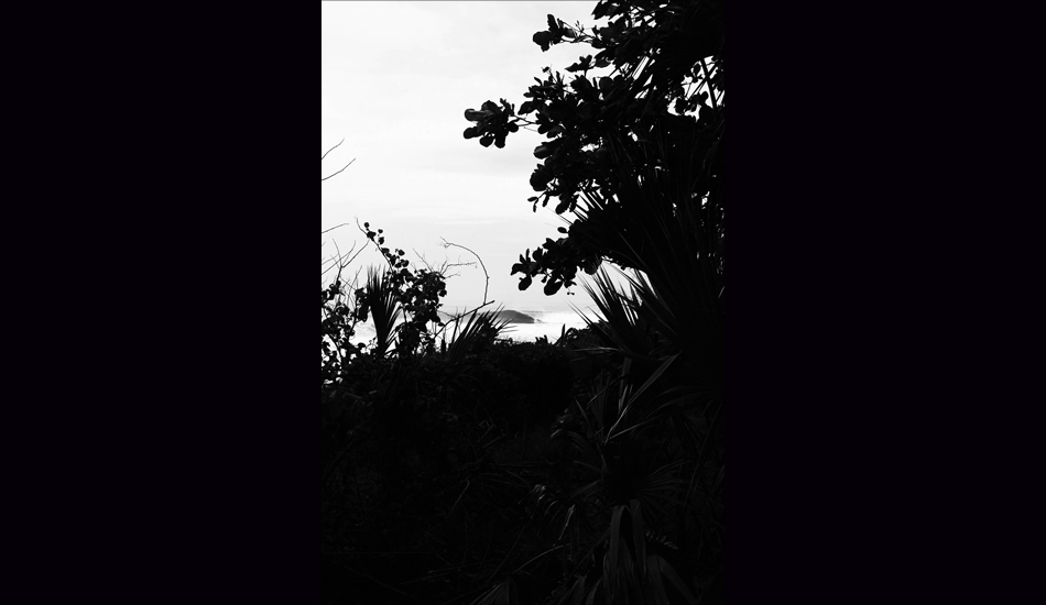 Jungle time hide-n-seek. Image: Rossi