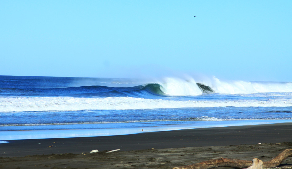 Bendonesia. Image: Rossi