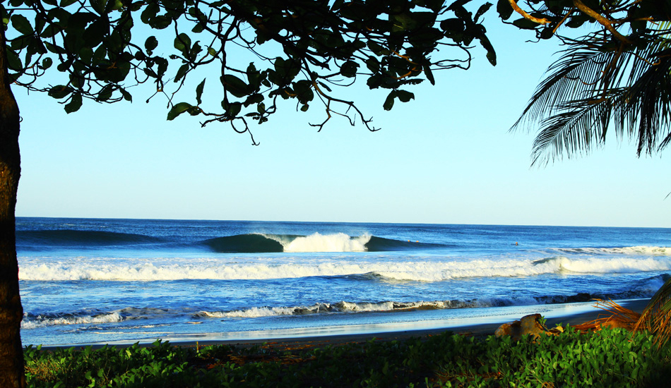 Peak and tree frame up. Image: Rossi