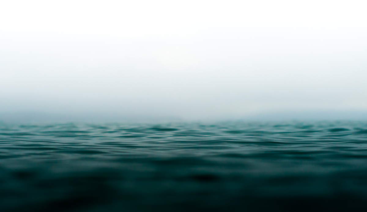 Alone in the fog. Photo: <a href=\"https://www.chechorley.com/\">Che Chorley</a>