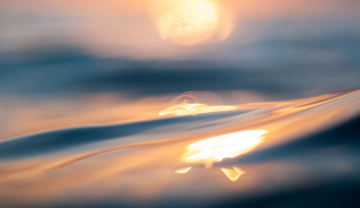 Found at sea. Photo: <a href=\"https://www.chechorley.com/\">Che Chorley</a>