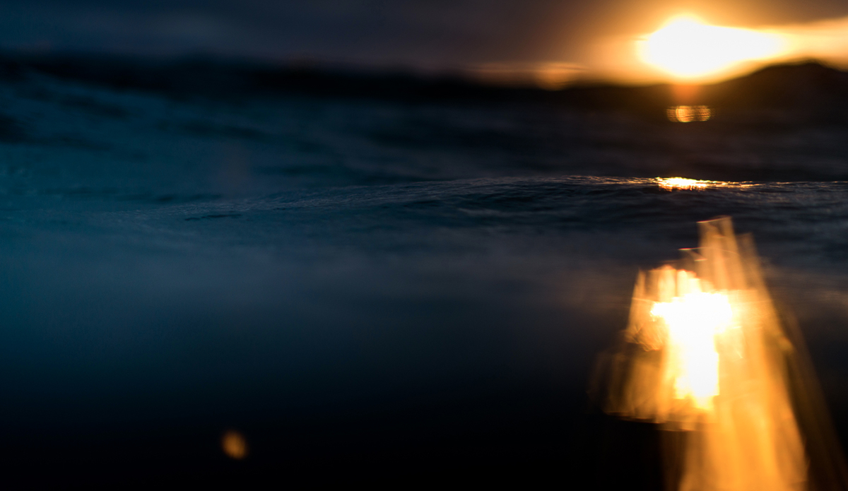 Moana. Photo: <a href=\"https://www.chechorley.com/\">Che Chorley</a>