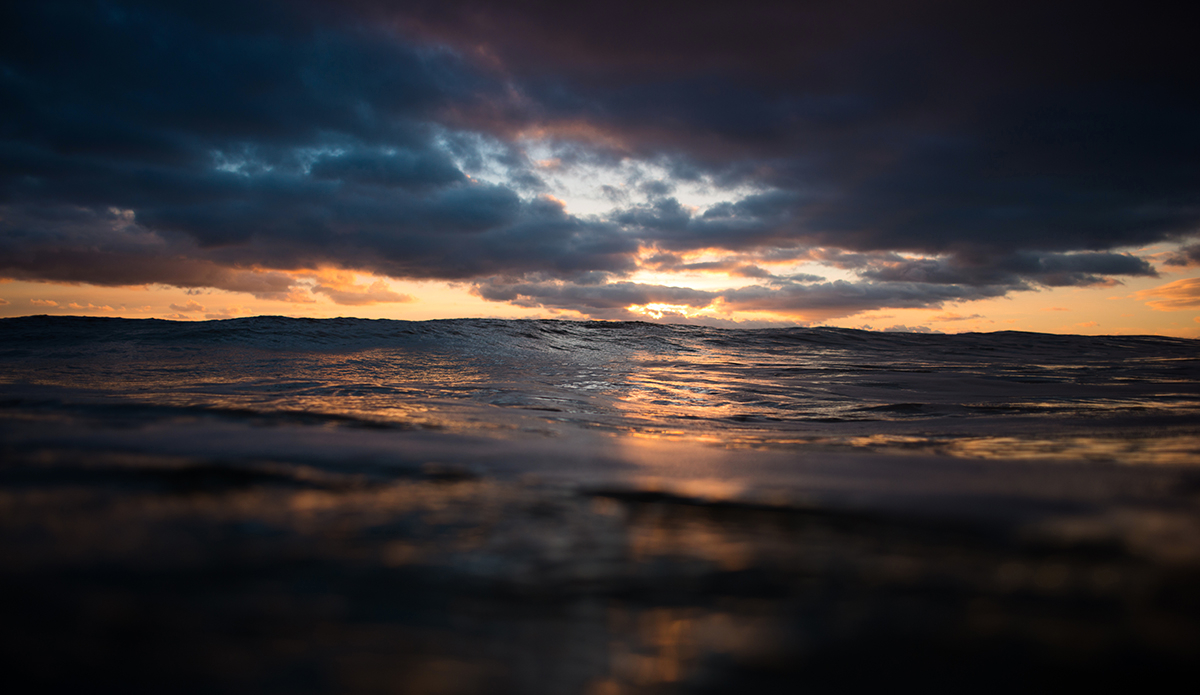 Salt and brine. Photo: <a href=\"https://www.chechorley.com/\">Che Chorley</a>