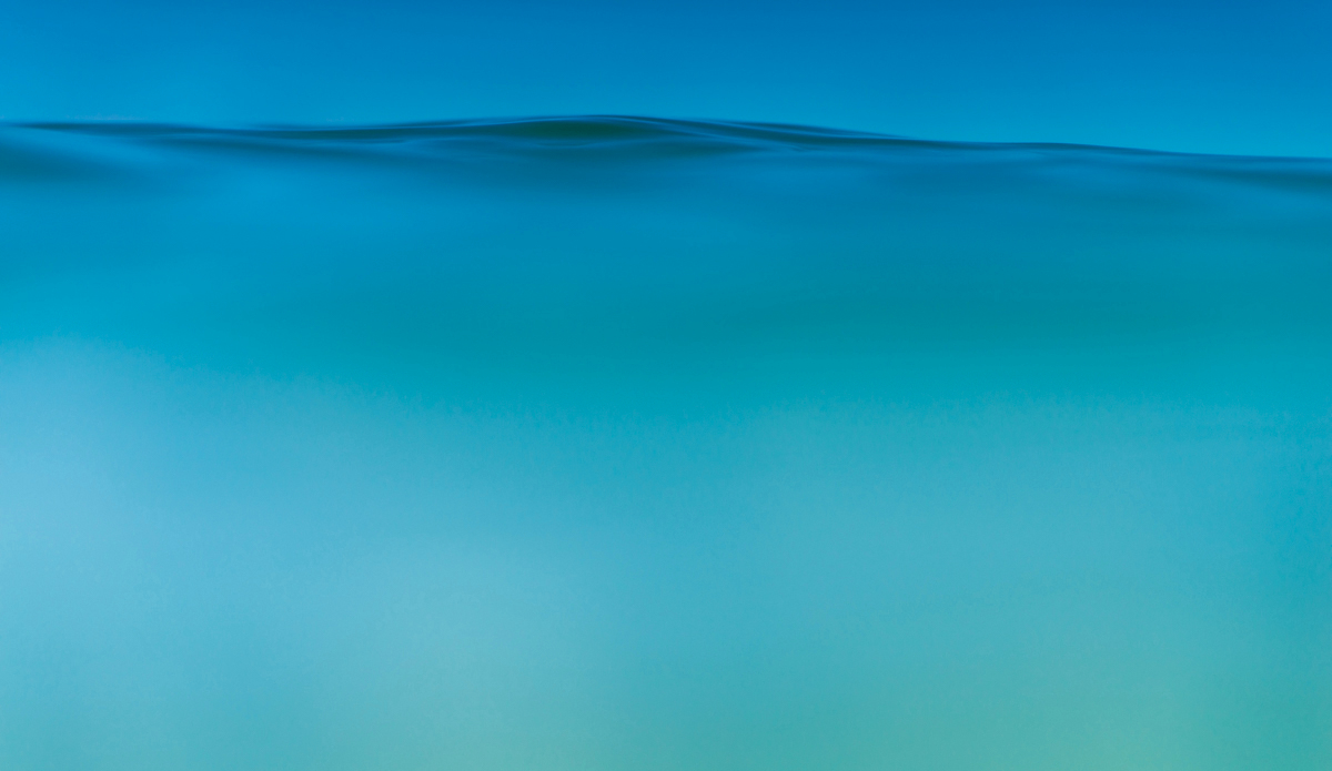 Surface tension. Photo: <a href=\"https://www.chechorley.com/\">Che Chorley</a>