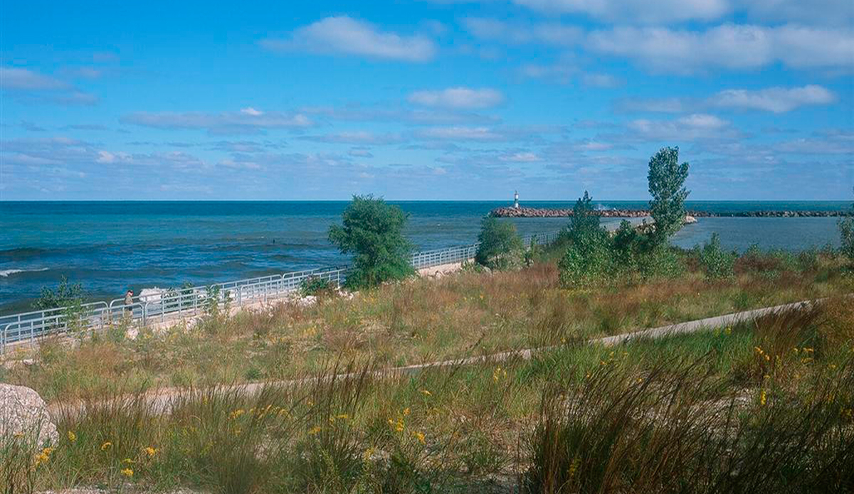 Photo: <a href=\"https://www.alohabigmike.com/\">Aloha Big Mike</a>