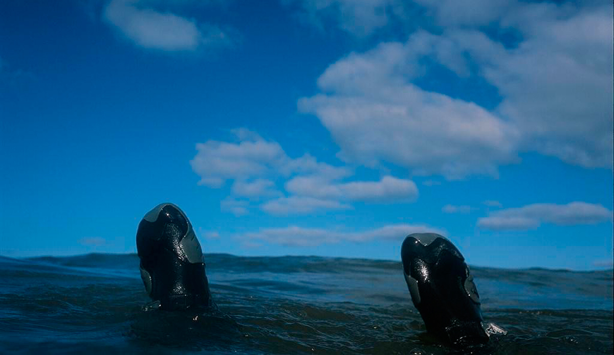 Nikonos V, Provia 100F Photo: <a href=\"https://www.alohabigmike.com/\">Aloha Big Mike</a>