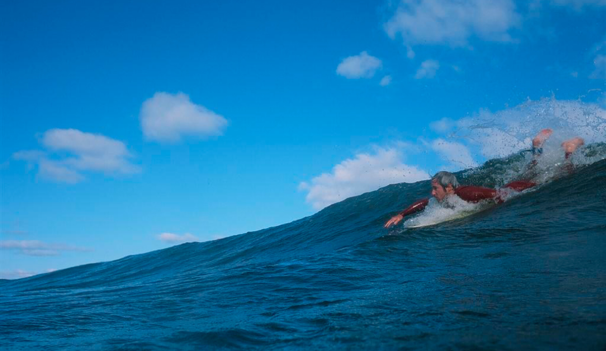 Nikonos V, Provia 100F Photo: <a href=\"https://www.alohabigmike.com/\">Aloha Big Mike</a>