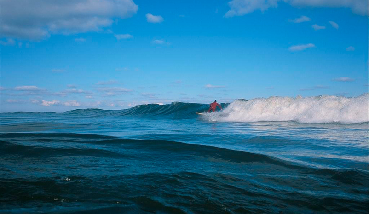 ikonos V, Provia 100F Photo: <a href=\"https://www.alohabigmike.com/\">Aloha Big Mike</a>