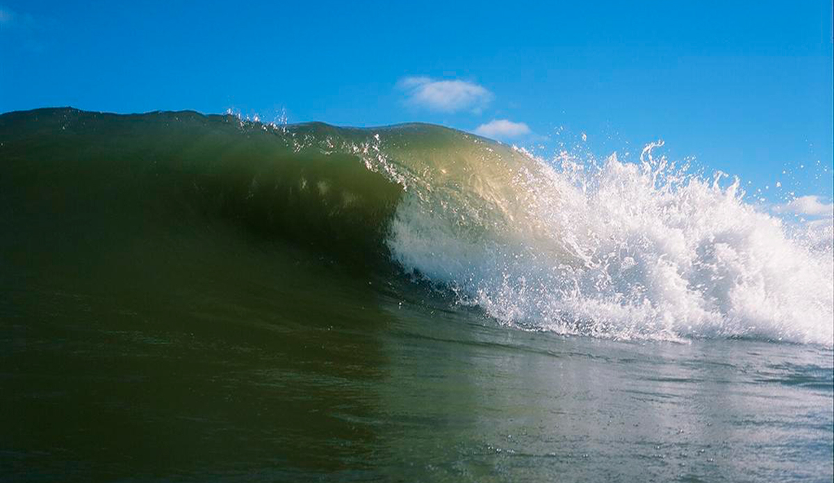 Nikonos V, Provia 100F Photo: <a href=\"https://www.alohabigmike.com/\">Aloha Big Mike</a>