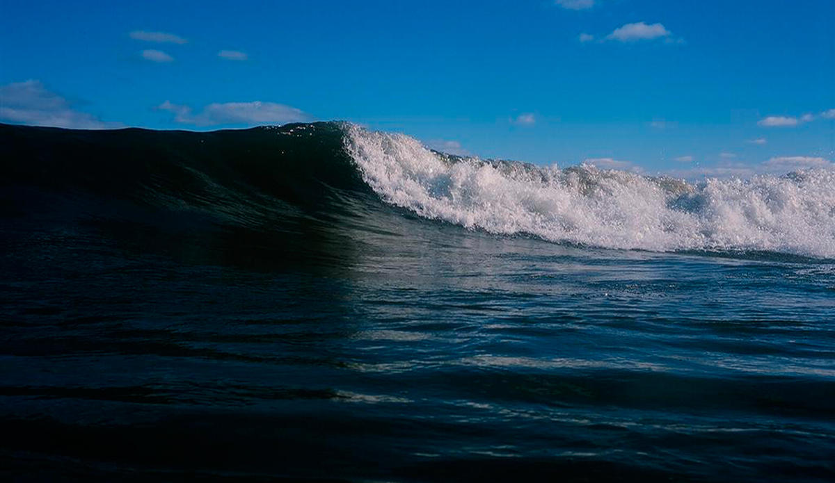 Nikonos V, Provia 100F Nikonos V, Provia 100F Photo: <a href=\"https://www.alohabigmike.com/\">Aloha Big Mike</a>